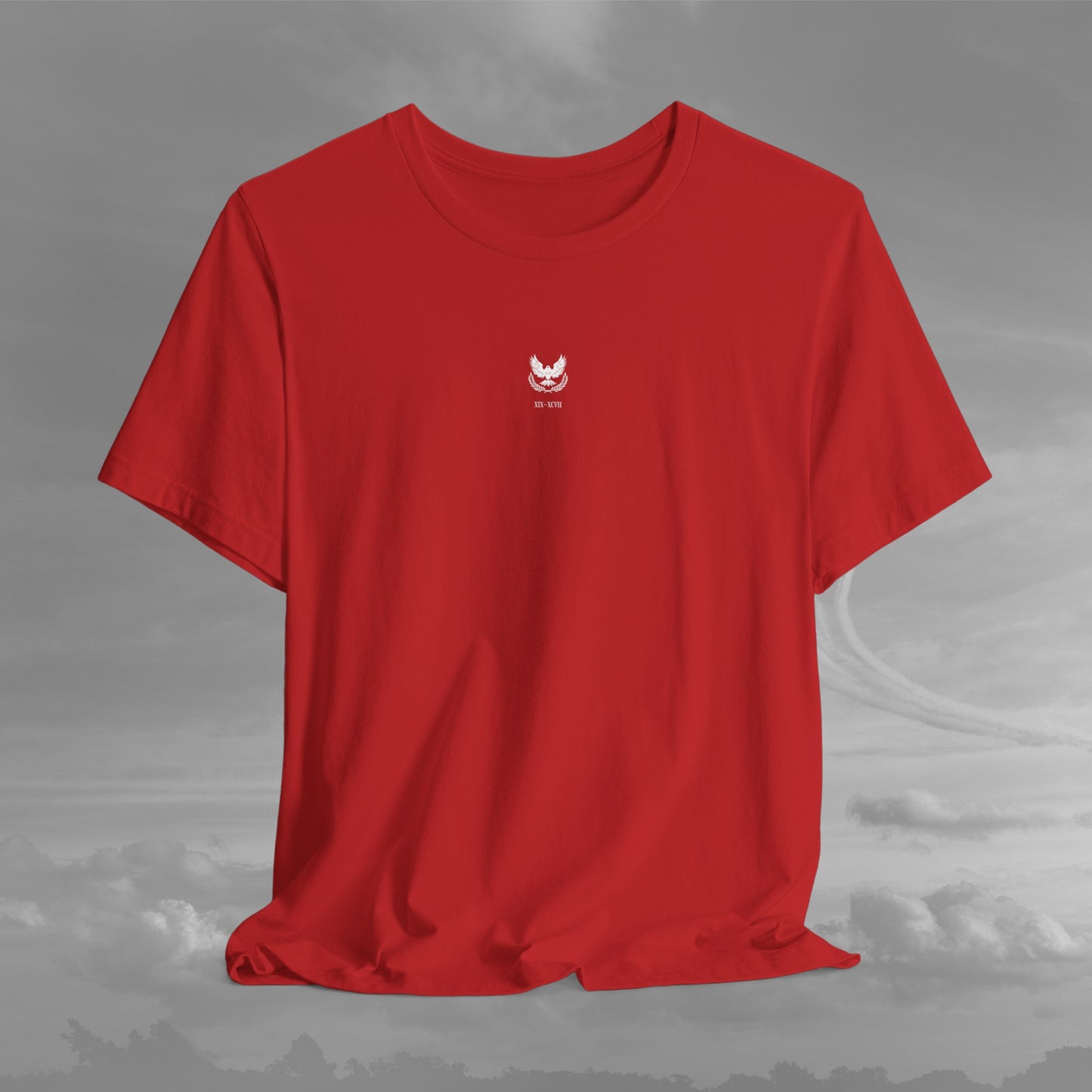 Aviation Academy Vintage Shirt - XIX-XCVII Collection