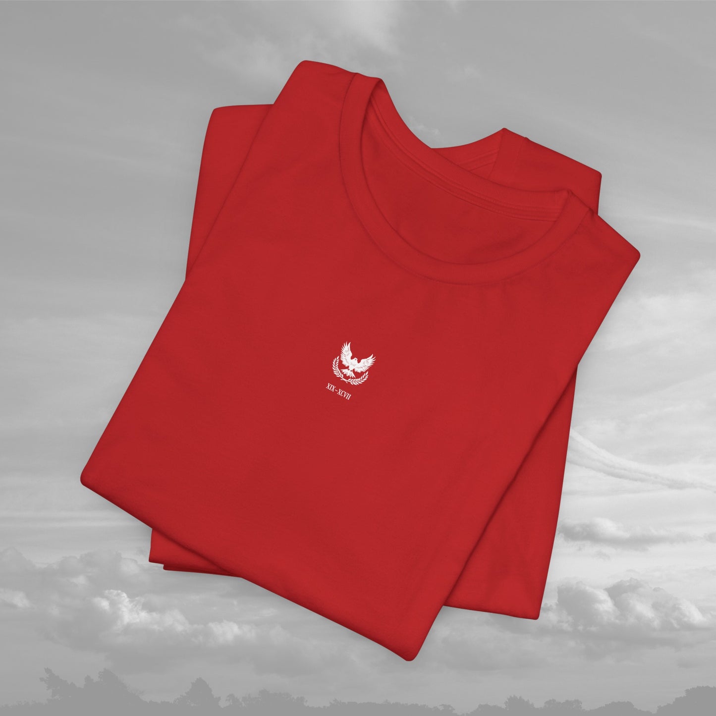 Aviation Academy Vintage Shirt - XIX-XCVII Collection