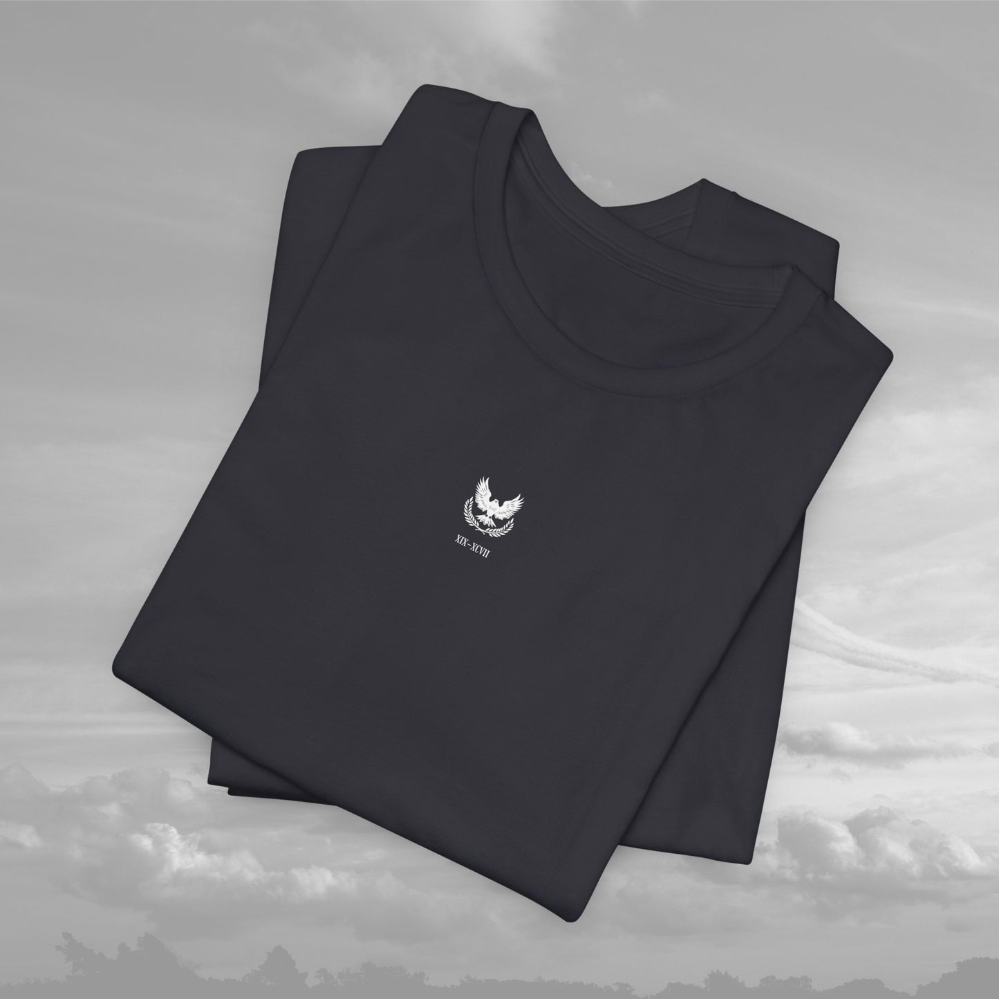 Aviation Academy Vintage Shirt - XIX-XCVII Collection