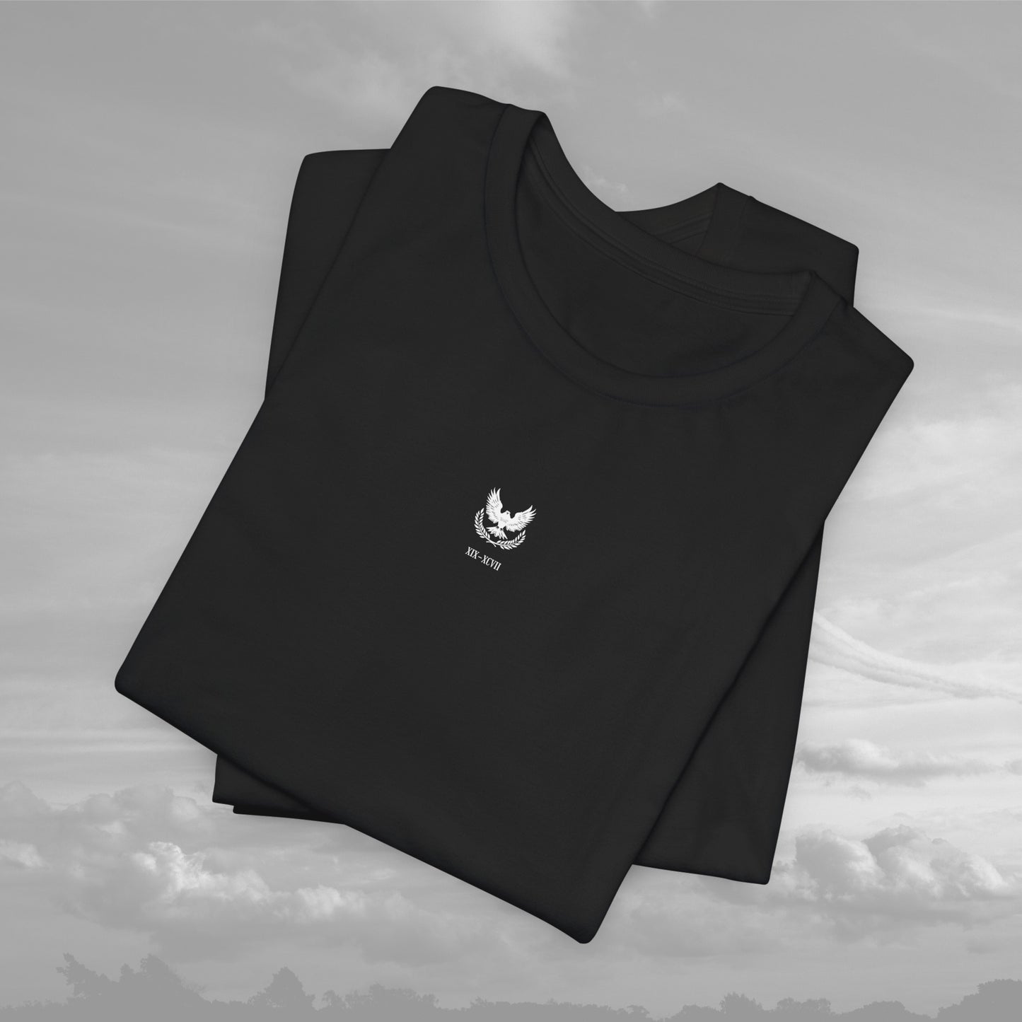 Aviation Academy Vintage Shirt - XIX-XCVII Collection