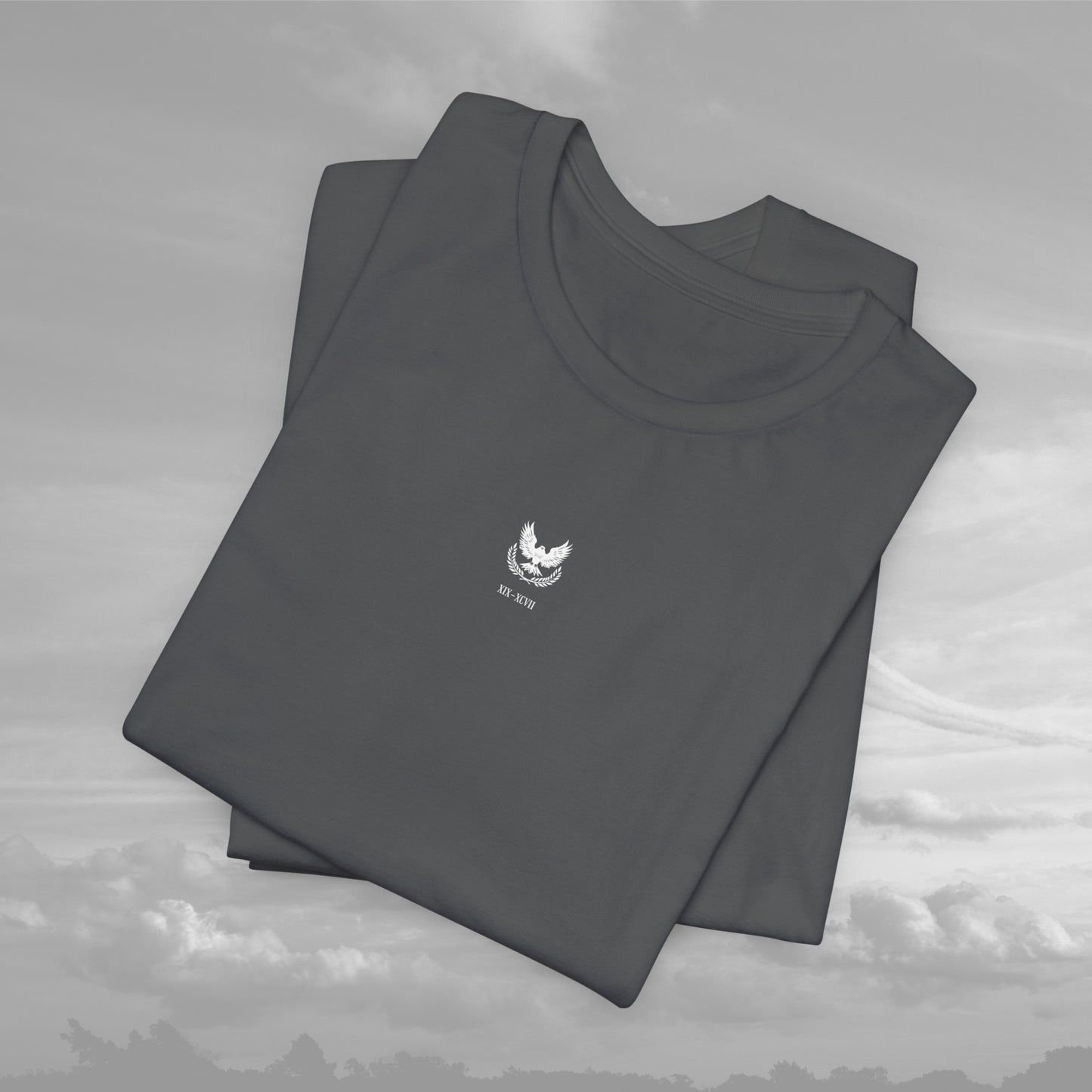 Aviation Academy Vintage Shirt - XIX-XCVII Collection