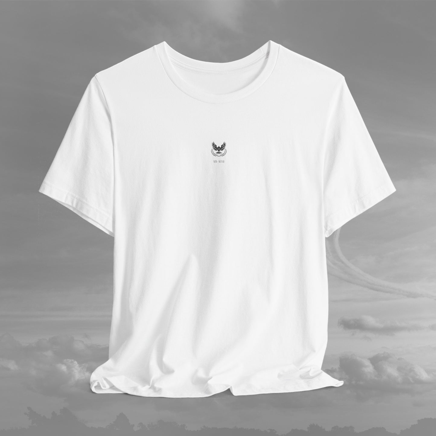 Aviation Academy Vintage Shirt - XIX-XCVII Collection