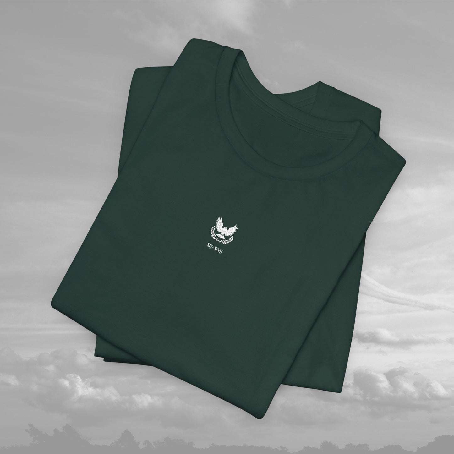 Aviation Academy Vintage Shirt - XIX-XCVII Collection