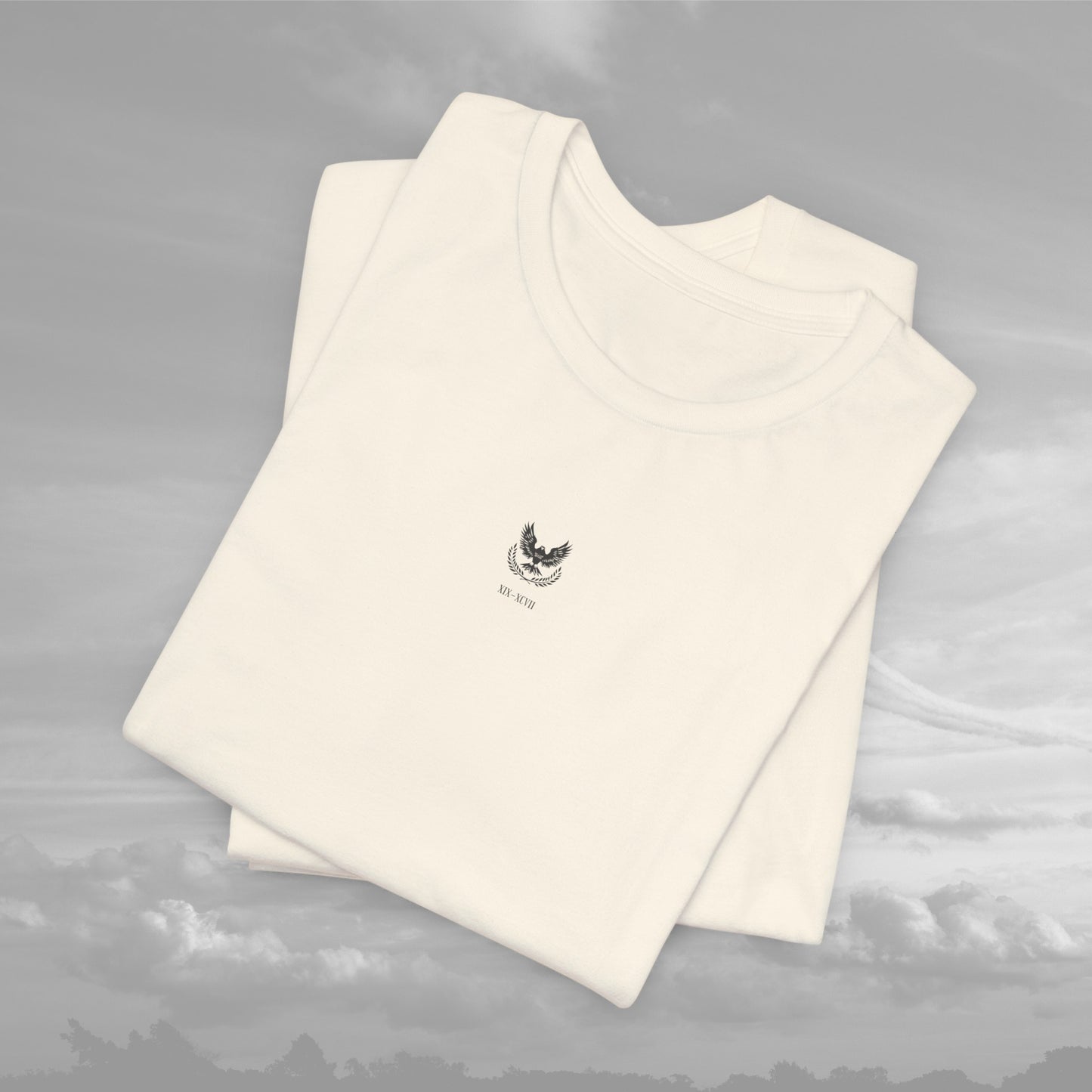 Aviation Academy Vintage Shirt - XIX-XCVII Collection